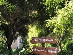 -南丫岛