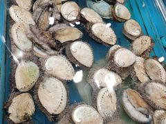 -盒马鲜生(皇庭广场店)