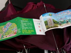 -广东茂名森林公园