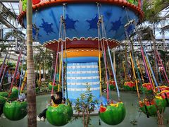 -南宫五洲植物乐园