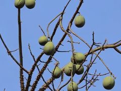 -梅州天地人花园酒店(梅县人民广场店)