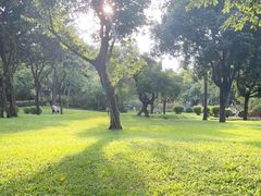 -晓港公园