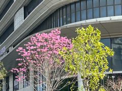 -佛山复星禅诚医院