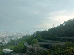 -福道