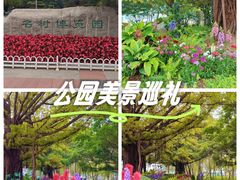 -南宁南湖公园