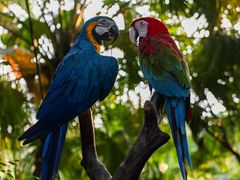 -广州长隆野生动物世界