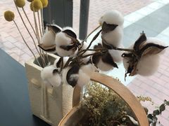 -卖呆儿咖啡(望京店)