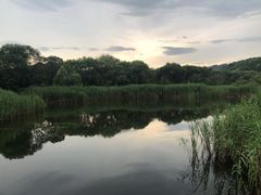 -西湖风景区-江洋畈生态公园