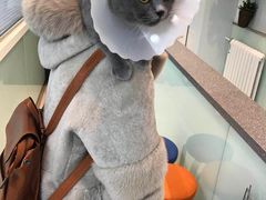 -纳吉亚猫专科动物医院博雅分院