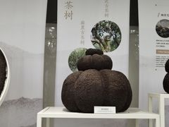 -中国茶叶博物馆(双峰馆区)