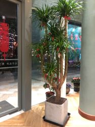 -娇玫荟SPA