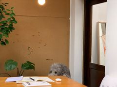 -沏点Trattoria意大利餐厅(新街口店)