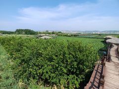 -处女泉风景名胜区