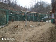 -栾川竹海野生动物园