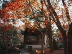 -秋霞圃