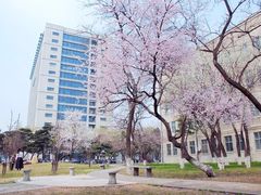 -东北大学(南湖校区)