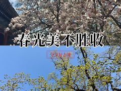 -潭柘寺景区