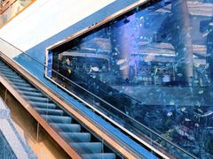 -迪拜帆船酒店海底餐厅