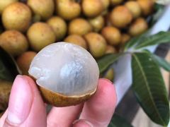 鲜荔枝-双福水果批发市场