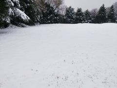 -春兰国宾馆(凤城河风景区老街店)