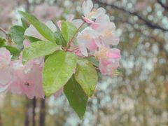 -螃蟹岬(地铁站)