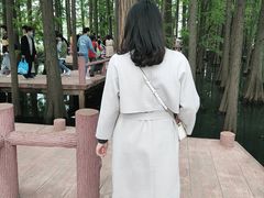 -东湖落雁景区