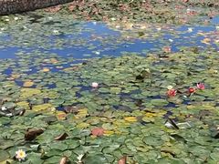 -红莲湖旅游度假区