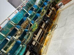 -正亮农家院·海鲜本地菜