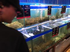 水产区-船梆煮•蒸汽海鲜·炉火烤肉(五四广场店)