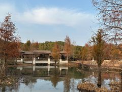 -同里国家湿地公园