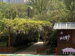 -济南喜来登酒店
