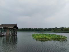 -溱湖国家湿地公园