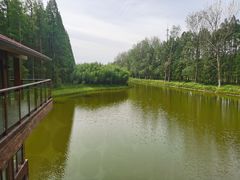 -黄海国家森林公园