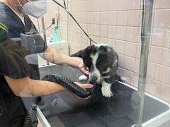 -FAELING PETS美天灵宠物(富力广场店)