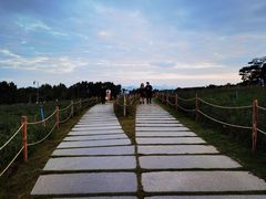 -深圳湾公园(南山区)