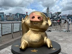 -星光大道