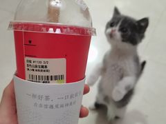 -奈雪的茶(亨特国际广场店)