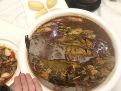 -肆月河豚·新淮扬(金融街店)