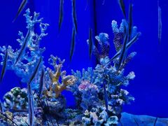 -多彩贵州城极地海洋世界