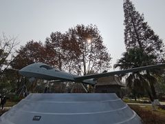 -成飞公园