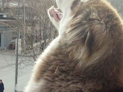 -CGV影城(梅江ScreenX店)