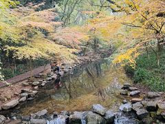 -龙井壹号·茶缘山景宴(龙井村店)