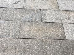 -龙口南山旅游景区