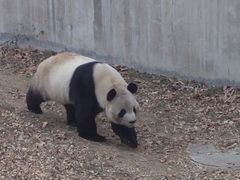 iphone_upload_pic-石家庄市动物园