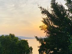 -逸廊大堂吧-下午茶·简餐-千岛湖自由洲际殿