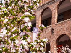 -天津五大道文化旅游区