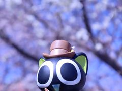 -桃花堤公园