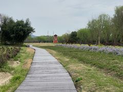 -白塔湖国家湿地公园