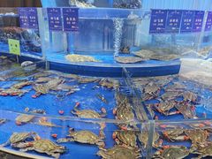 -天顺渔港·海景餐厅(星海广场店)