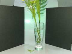 -红瓜子 影视后期 摄影摄像设计 新媒体运营技能培训(宝安校区)